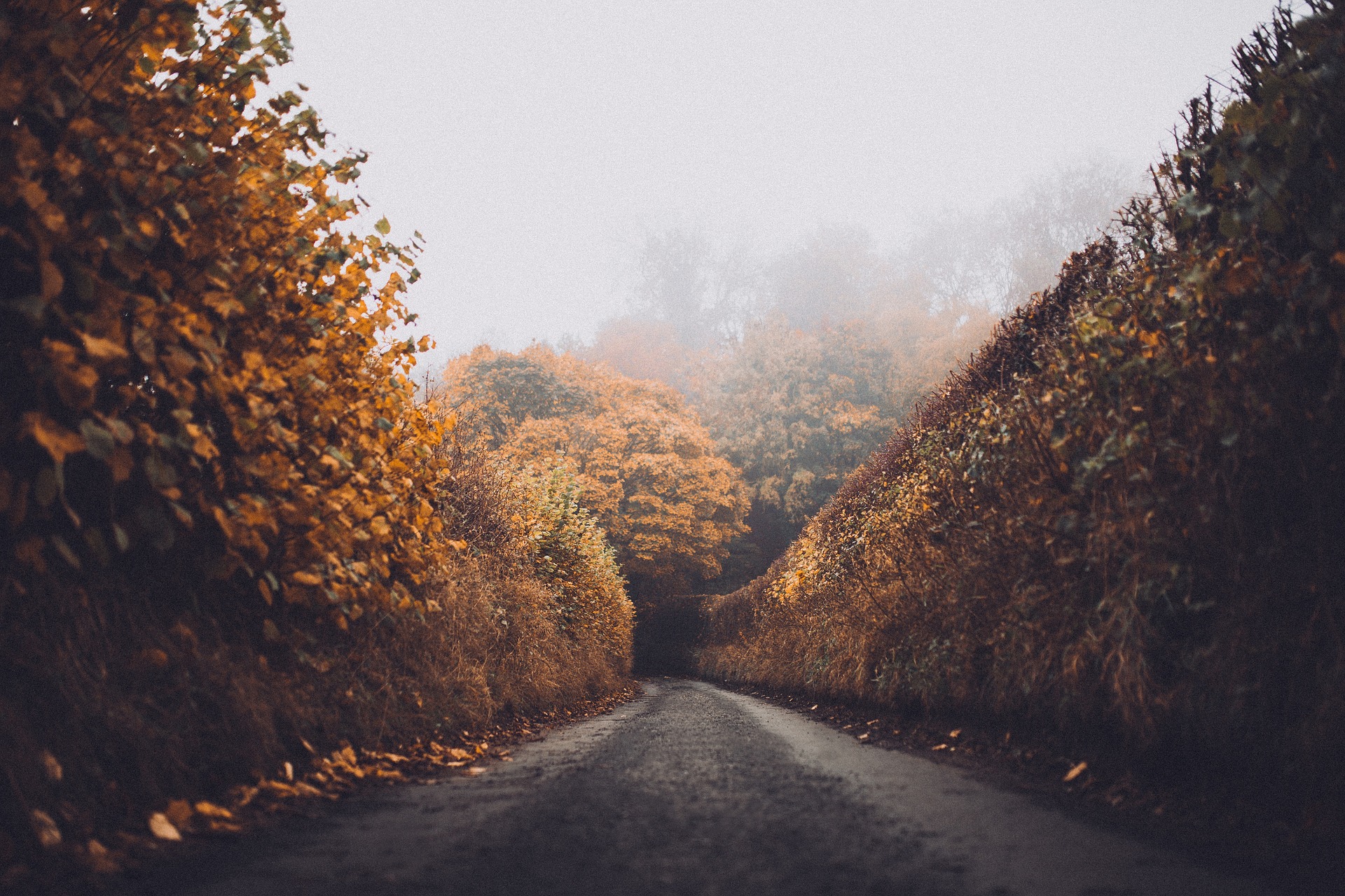 Sermon – The Narrow Road of Forgiveness